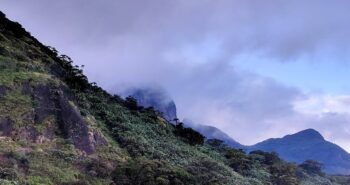 agasthyarkoodam-trekking-2025-1736300092