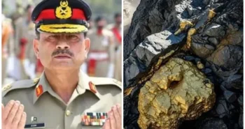 goldmineinpakistanprofit--1755511577