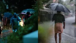rain3-1760815085